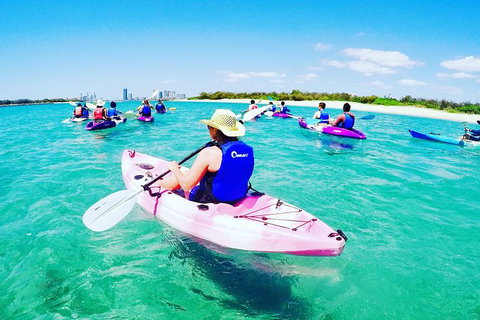 Half Day Dolphin Kayaking And Snorkeling Tour - Accommodation Whitsundays 0