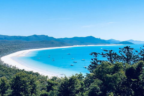 Full-Day Whitsunday Tour: Whitehaven Beach And Hill Inlet With BBQ - Accommodation Whitsundays 6
