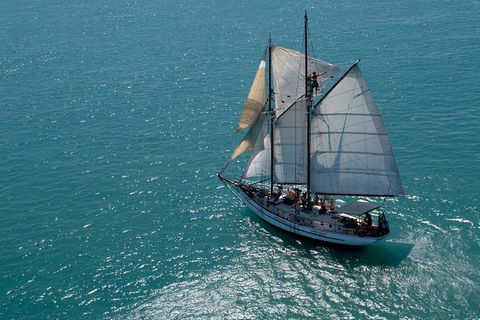 Whitehaven Beach Sailing And Snorkeling Cruise - Accommodation Whitsundays 5