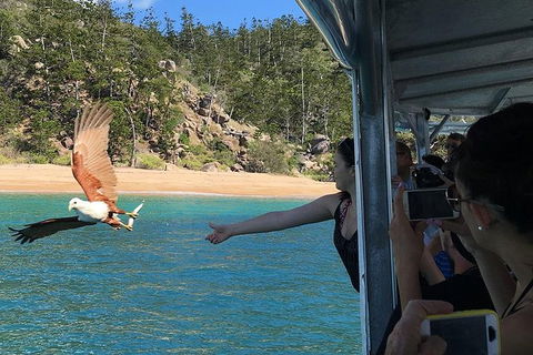 Aquascene Magnetic Island Discovery Tour - Accommodation Whitsundays 2