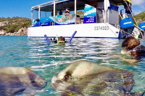 Aquascene Magnetic Island Discovery Tour - Accommodation Whitsundays 4