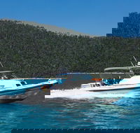 Private Standard Charter Experience in Whitsundays - Accommodation Whitsundays