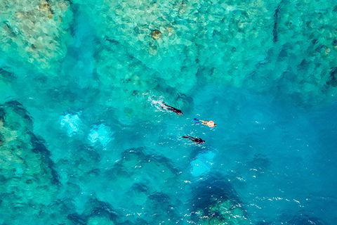 Private Standard Charter Experience In Whitsundays - Accommodation Whitsundays 5