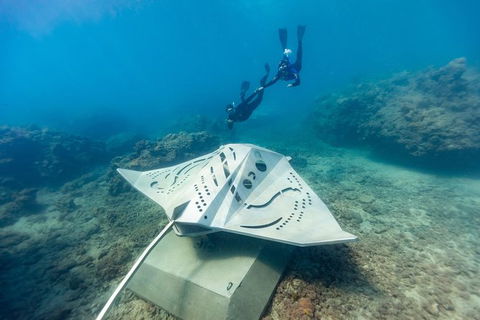 Private Standard Charter Experience In Whitsundays - Accommodation Whitsundays 7