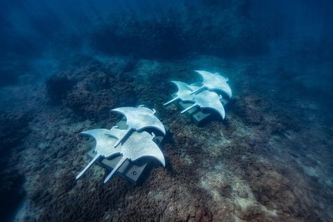Private Standard Charter Experience In Whitsundays - Accommodation Whitsundays 6
