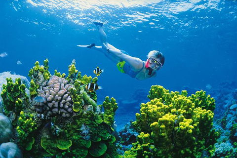 Full Day Snorkel In The Great Barrier Reef - Accommodation Whitsundays 0