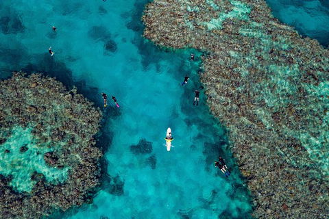 Full Day Snorkel In The Great Barrier Reef - Accommodation Whitsundays 1