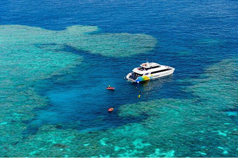 Full Day Snorkel In The Great Barrier Reef - Accommodation Whitsundays 6