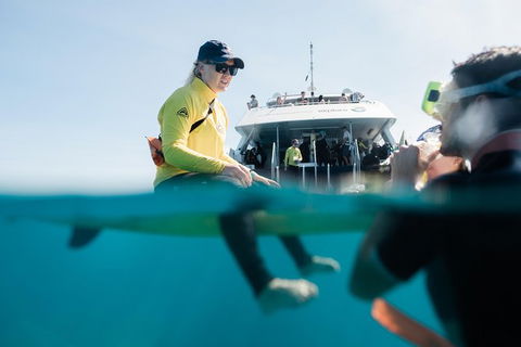 Full Day Snorkel In The Great Barrier Reef - Accommodation Whitsundays 7