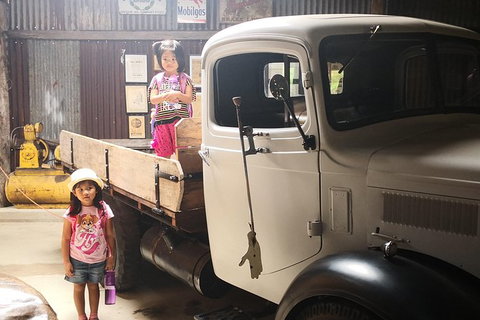 Historic Village Herberton, Kuranda Village And The Skyrail Rainforest Cableway - Accommodation Whitsundays 5