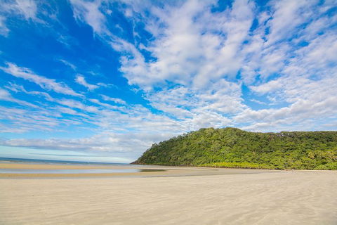 Daintree Afternoon Nocturnal Nature And Wildlife Tour - Accommodation Whitsundays 8