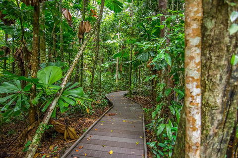 Daintree Afternoon Nocturnal Nature And Wildlife Tour - Accommodation Whitsundays 9