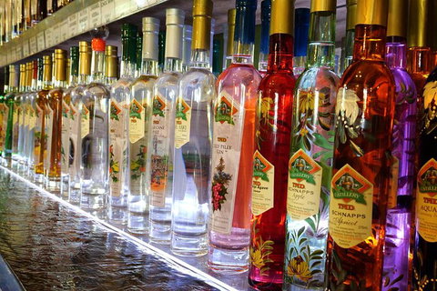 Hens Party Winery Tour - Accommodation Whitsundays 4