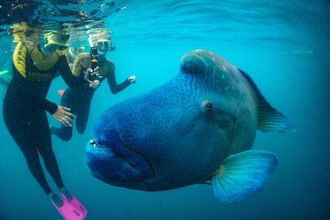 2Day 2 Night Sail, Snorkel & SUP Adventure Whitsundays Single - Accommodation Whitsundays 2