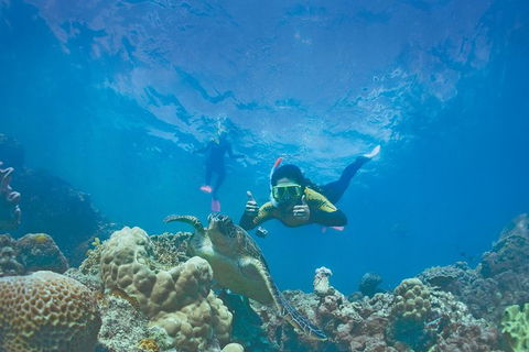 2Day 2 Night Sail, Snorkel & SUP Adventure Whitsundays Single - Accommodation Whitsundays 8