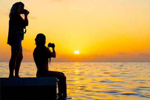 2Day 2 Night Sail, Snorkel & SUP Adventure Whitsundays Single - Accommodation Whitsundays 9