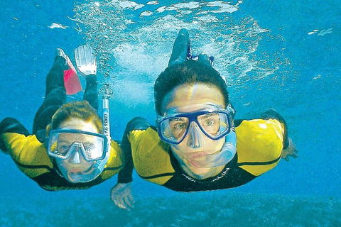 2Day 2 Night Sail, Snorkel & SUP Adventure Whitsundays Single - Accommodation Whitsundays 4