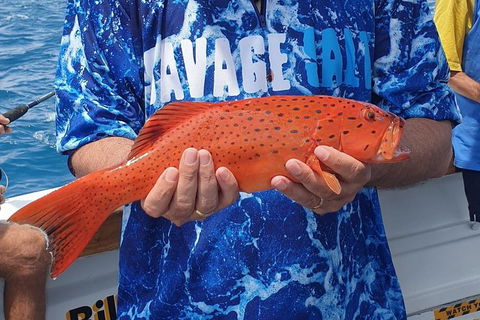Morning Half Day Fishing Charter Airlie Beach Whitsundays - Accommodation Whitsundays 4