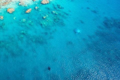 Premium Private Charter - Accommodation Whitsundays 5