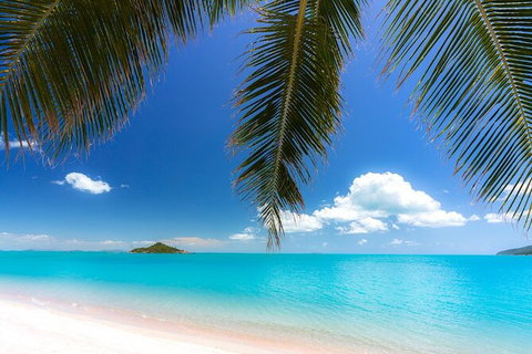 Rainforest To Reef Experience - Reef And Beyond Guided Holidays - Accommodation Whitsundays 1