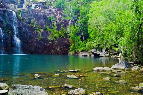 Rainforest To Reef Experience - Reef And Beyond Guided Holidays - Accommodation Whitsundays 5