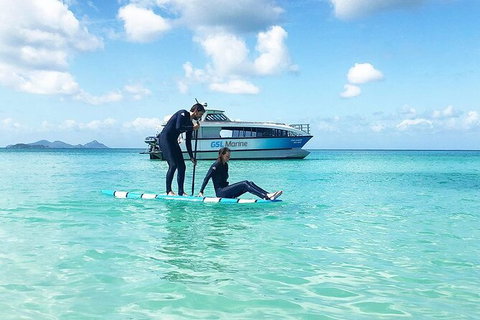 Rainforest To Reef Experience - Reef And Beyond Guided Holidays - Accommodation Whitsundays 3