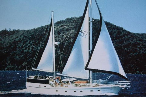 Great Barrier Reef Private Expedition Cruise (min 4 Day Max 8 Guests) - Accommodation Whitsundays 2