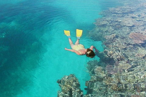 Great Barrier Reef Private Expedition Cruise (min 4 Day Max 8 Guests) - Accommodation Whitsundays 6