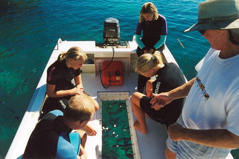 Great Barrier Reef Private Expedition Cruise (min 4 Day Max 8 Guests) - Accommodation Whitsundays 1
