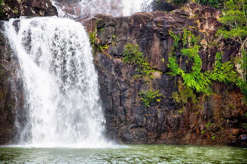 Cedar Creek Falls And Hydeaway Bay Tour - Accommodation Whitsundays 2