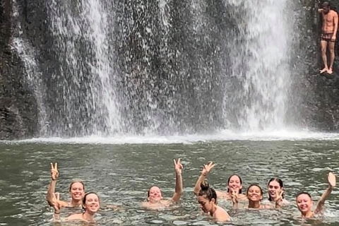 Cedar Creek Falls And Hydeaway Bay Tour - Accommodation Whitsundays 3