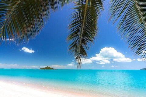 Cedar Creek Falls And Hydeaway Bay Tour - Accommodation Whitsundays 0