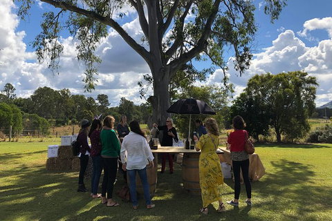 Hinterland Cheese & Wine Tasting Tour - With 2 Course Lunch Included - Accommodation Whitsundays 1