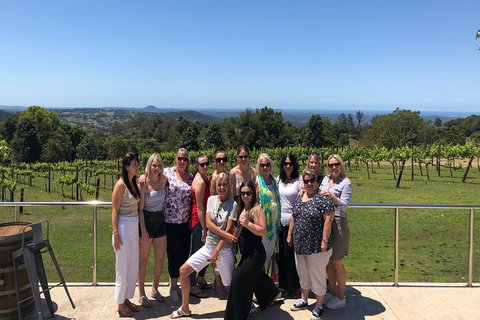 Hinterland Cheese & Wine Tasting Tour - With 2 Course Lunch Included - Accommodation Whitsundays 7