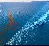 2-Night Whitsunday Islands Sailing Adventure on Trimaran 'Avatar' - Accommodation Whitsundays
