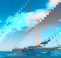 3 Day and 2 Night Whitsundays Maxi Sailing Adventure on Hammer - Accommodation Whitsundays