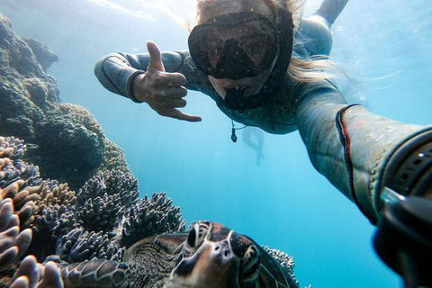 4 Day And 3 Night Whitsunday Maxi Sailing Adventure On Broomstick - Accommodation Whitsundays 13
