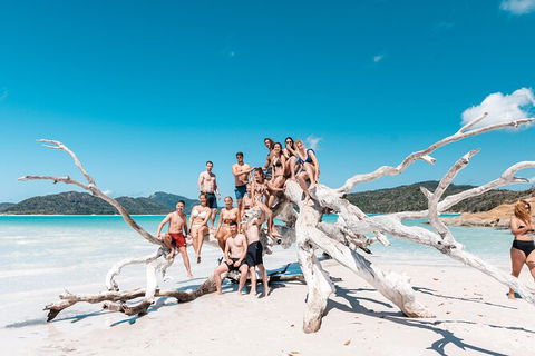4 Day And 3 Night Whitsunday Maxi Sailing Adventure On Condor - Accommodation Whitsundays 5