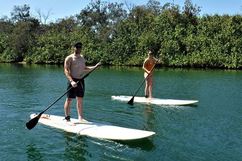 Paddle Board Hire In Surfers Paradise - Accommodation Whitsundays 2
