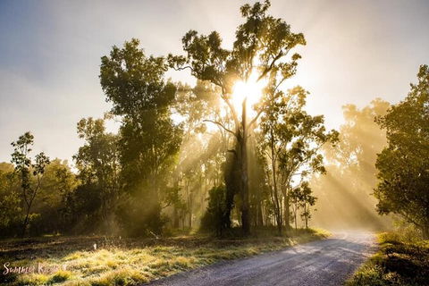 Chasing Waterfalls In The Whitsunday\'s Full Day Tour - Accommodation Whitsundays 20
