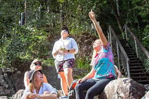 Chasing Waterfalls In The Whitsunday\'s Full Day Tour - Accommodation Whitsundays 4
