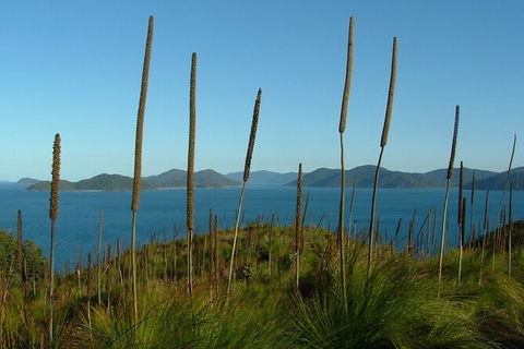 7-Day Private Sea Kayaking In Whitsundays - Accommodation Whitsundays 8