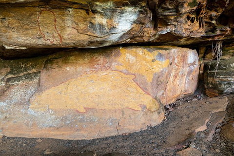 Half Day Aboriginal Rock Art Experience In Queensland - Accommodation Whitsundays 3