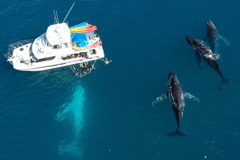Remote Fraser Island & Whale Experience - Accommodation Whitsundays 3