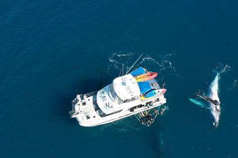 Remote Fraser Island & Whale Experience - Accommodation Whitsundays 1