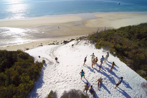 Remote Fraser Island & Whale Experience - Accommodation Whitsundays 2