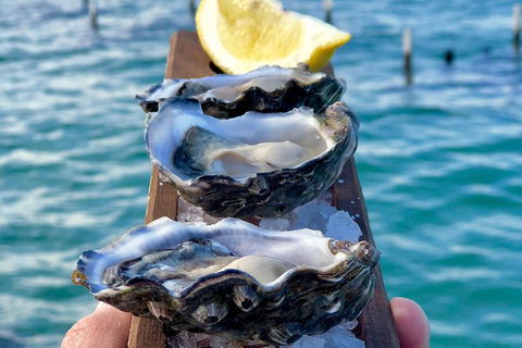 Coffin Bay Oysters, Ocean & Nature Tour - Accommodation Whitsundays 0