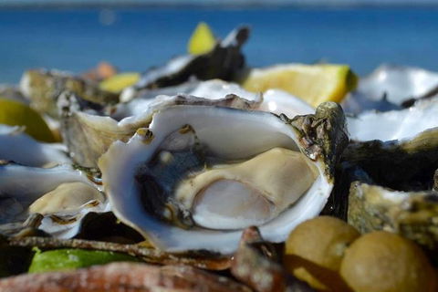 Coffin Bay Oysters, Ocean & Nature Tour - Accommodation Whitsundays 8