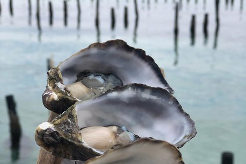 Coffin Bay Oysters, Ocean & Nature Tour - Accommodation Whitsundays 6