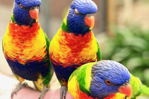 Coffin Bay Oysters, Ocean & Nature Tour - Accommodation Whitsundays 1